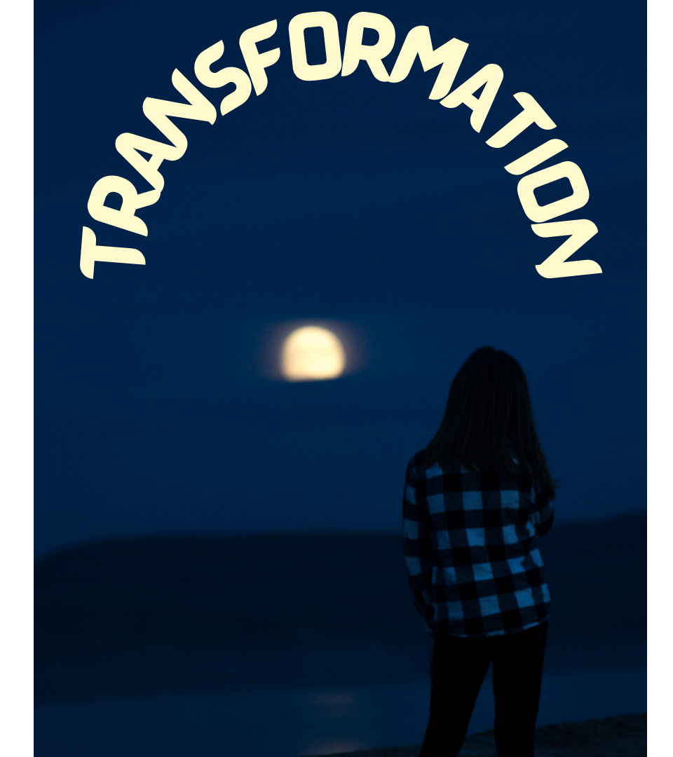 On the Cusp of Transformation – Welcoming the Lunar Echo Retrograde